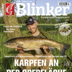 BLINKER