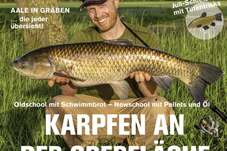 Blinker 07/2026: Karpfen an der Oberfläche