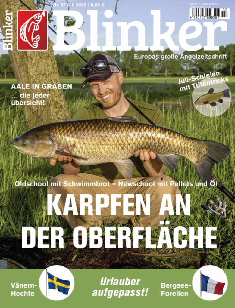 Blinker 07/2026: Karpfen an der Oberfläche