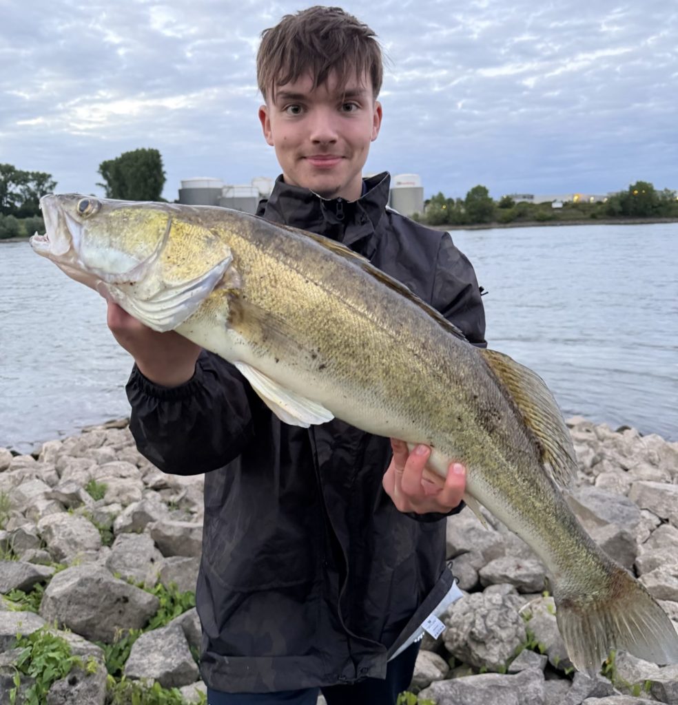 Nelio Walkowski 82er Zander