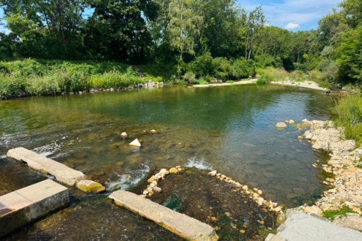 Amper bei Niedrigwasser