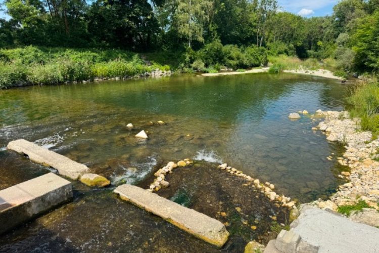 Amper bei Niedrigwasser