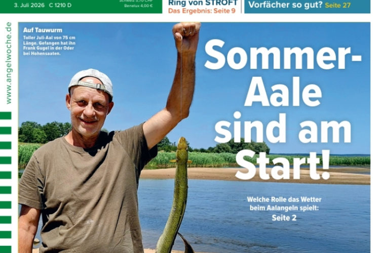 Cover der AngelWoche 15/2026: Sommer-Aale sind am Start!