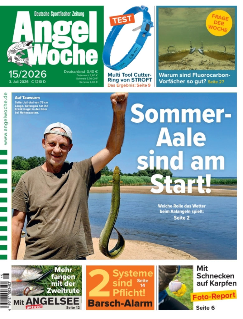 Cover der AngelWoche 15/2026: Sommer-Aale sind am Start!