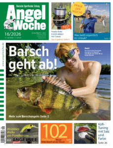 Cover der AngelWoche 16/2026: Barsch geht ab!