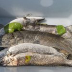 Tote Hechte, Steinhuder Meer