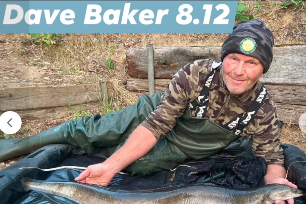 Eel Dave Baker