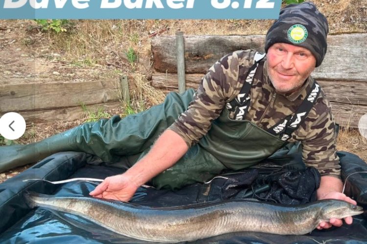 Eel Dave Baker