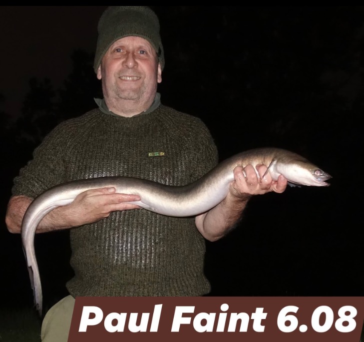 Paul Faint, Aal kapital