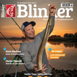 BLINKER