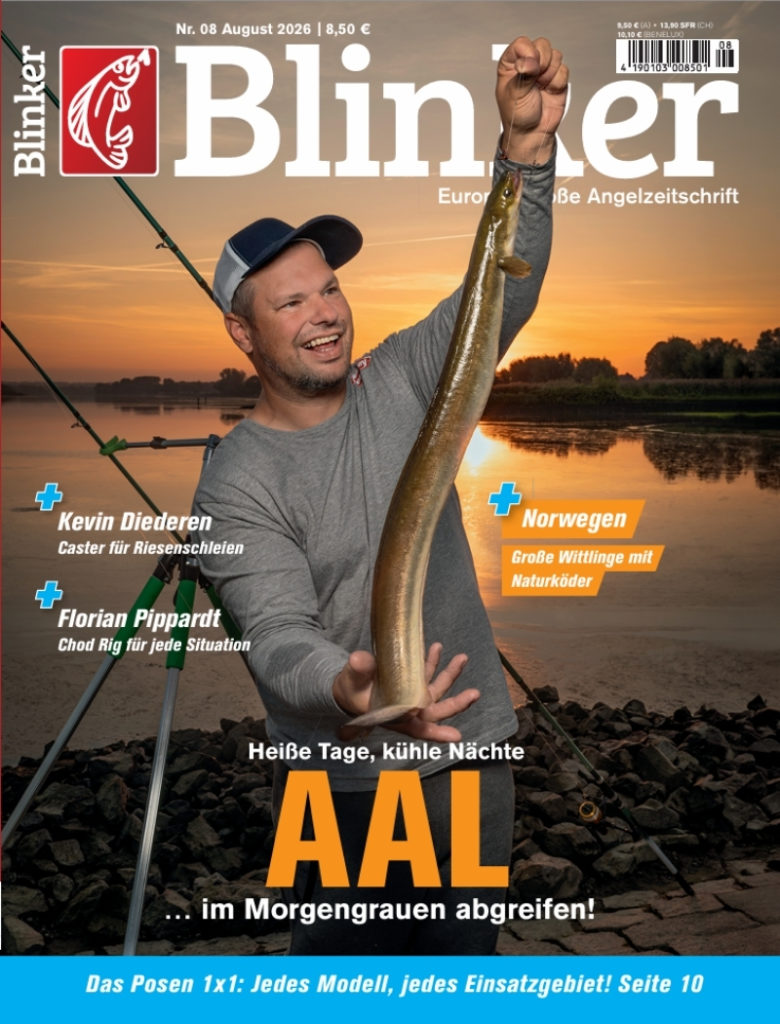 Blinker 08/2026: Auf Aal im Morgengrauen
