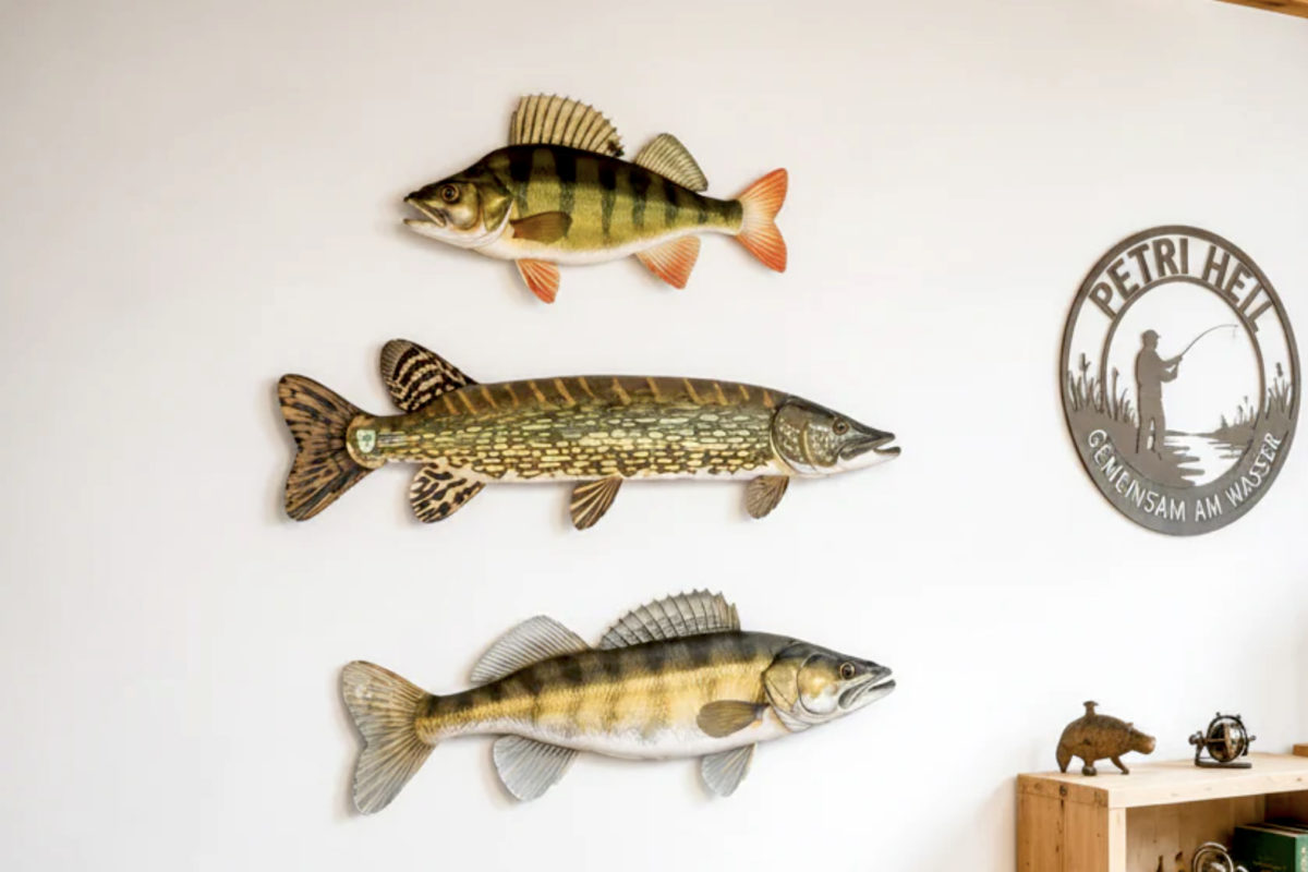 Barsch, Zander, Hecht – diese Deko Fische bietet der DAFV.Shop an.
