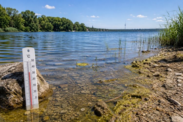 Hitze im See Müggelsee