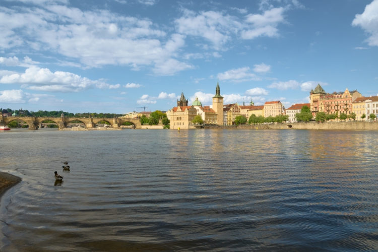 Angeln in Tschechien: Die Moldau in Prag