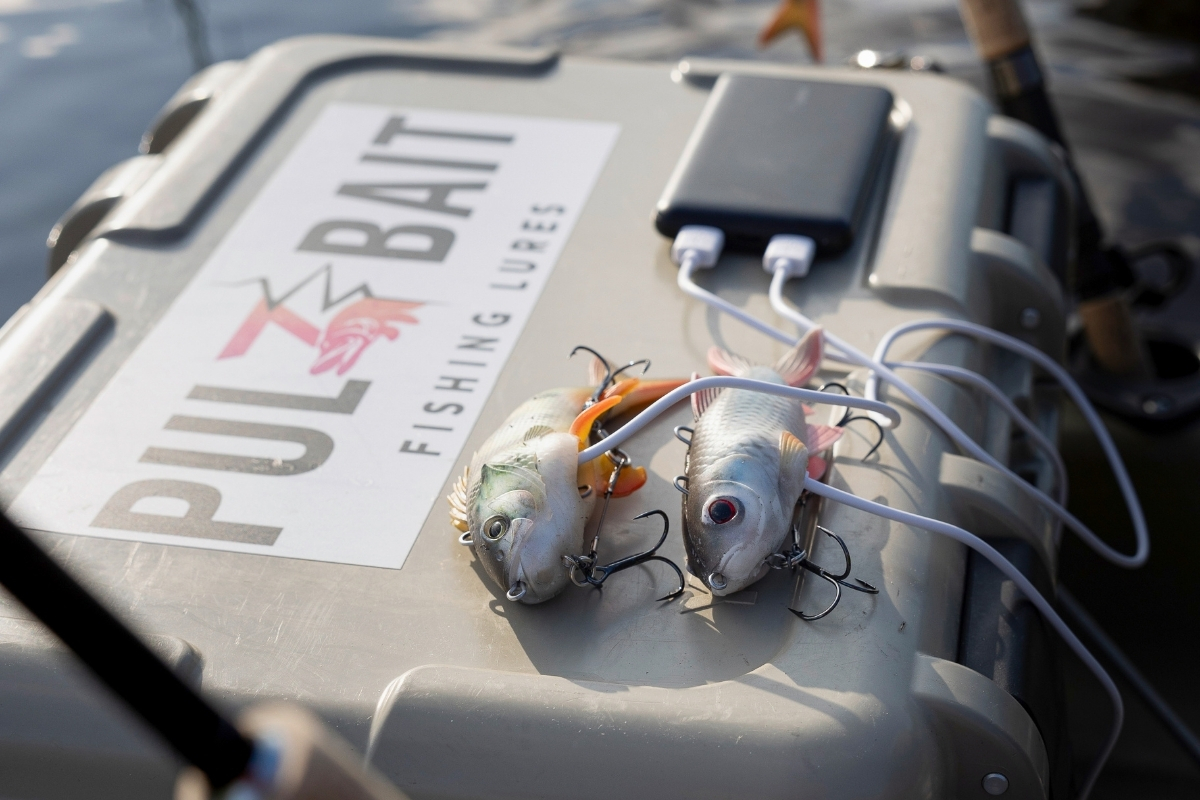 Elektrische Gummifische aufladen