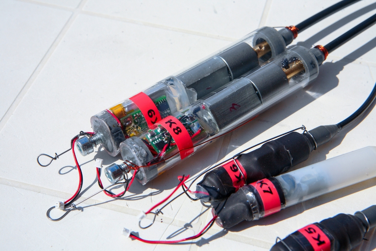PulzBait Prototypen in der Entwicklung