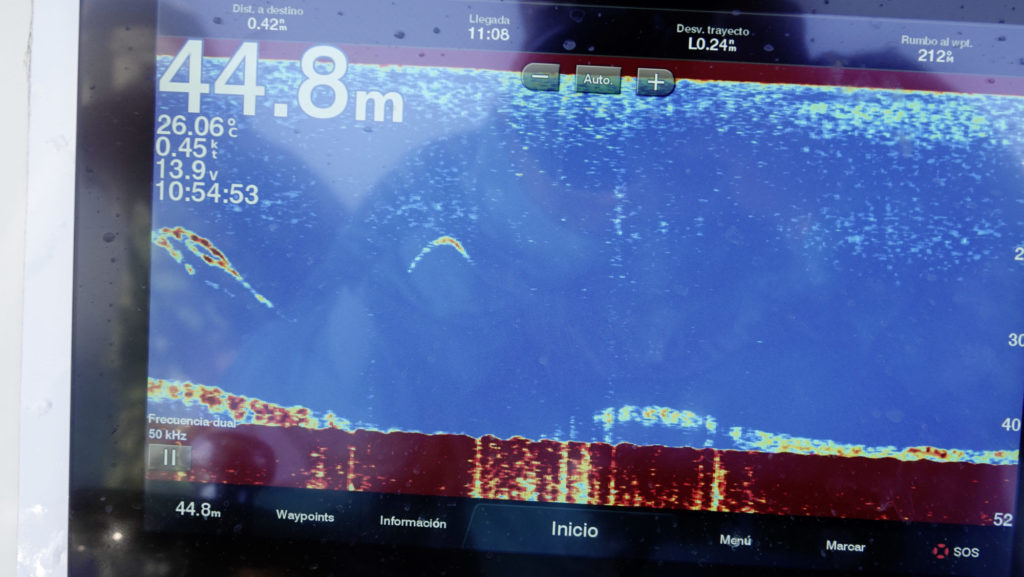 Im Delta wird nicht tief geangelt – meist bis 50 m. Im Mittelwasser zeigen sich auf dem Fischfinder die Thune.