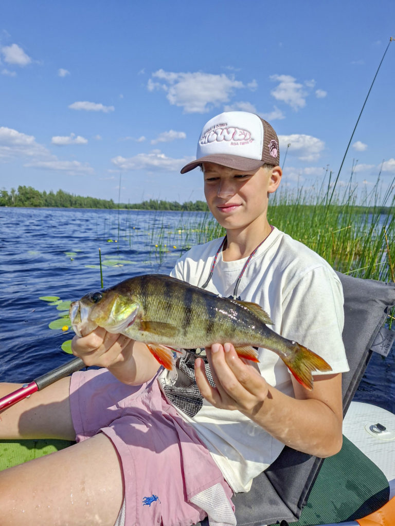 Barsch beim SUP Angeln