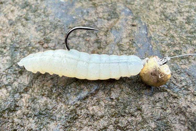 Wechsel zum nahe gelegenen Kanal. Hier kommt die Gummimade zum Einsatz. Sie bewegt sich wenig, bringt aber immer gute Ergebnisse. Gummimade am Micro Jig