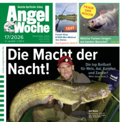 AngelWoche
