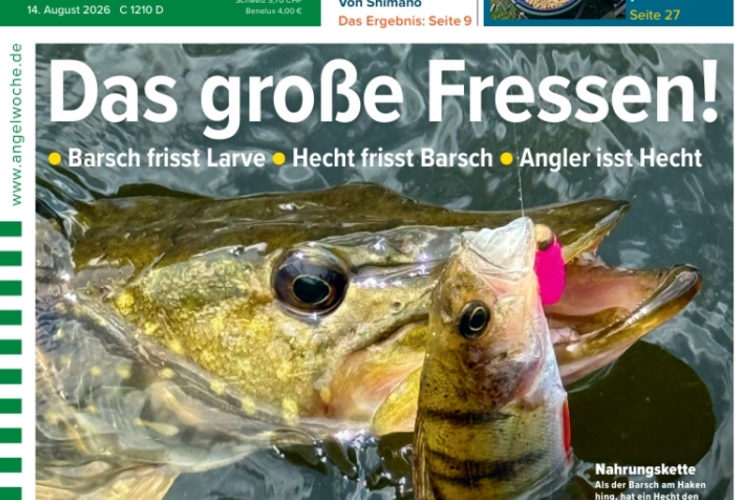 Cover der AngelWoche 18/2026: Das große Fressen!