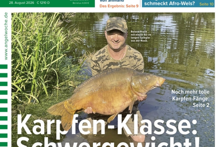 Cover der AngelWoche 19/2026: Karpfen-Klasse: Schwergewicht!