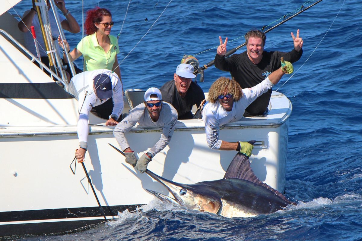 Blaur Marlin am Boot