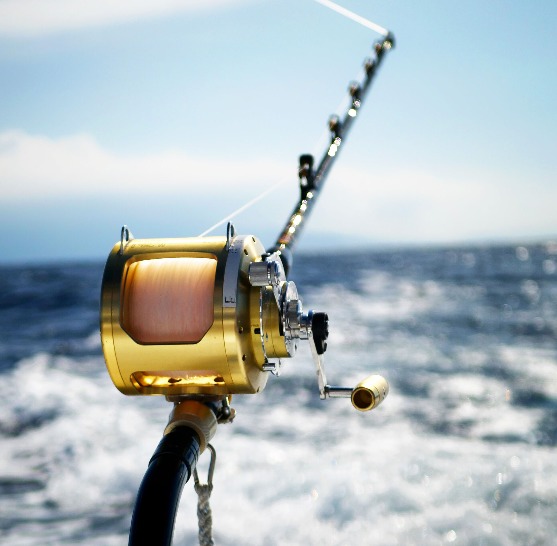 Blauer Marlin Big Game Reel