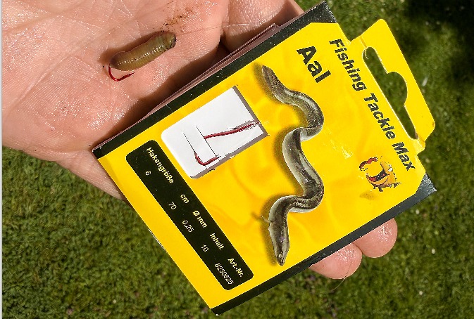 Wurm