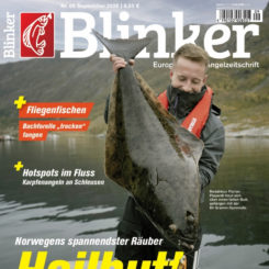 BLINKER