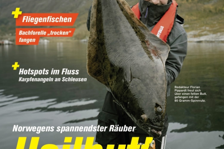 Blinker 09/2026: Heilbutt – Norwegens spannendster Räuber