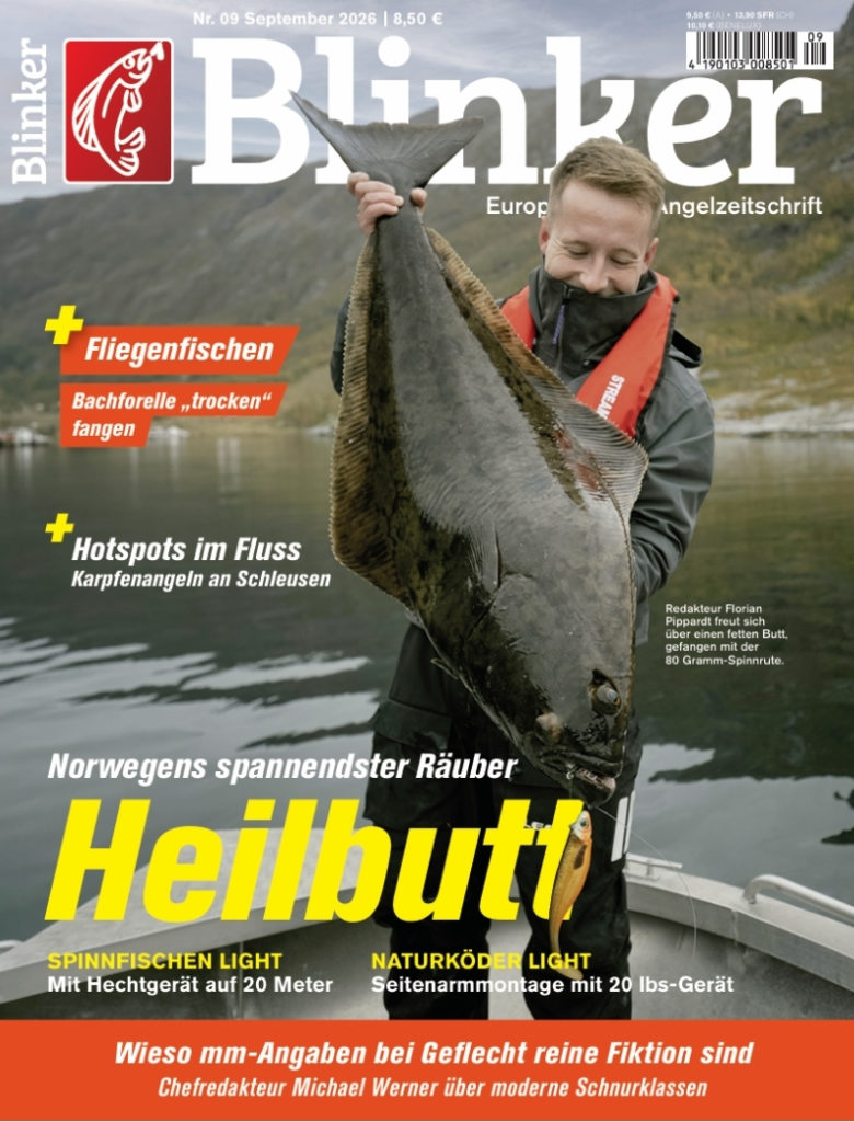 Blinker 09/2026: Heilbutt – Norwegens spannendster Räuber