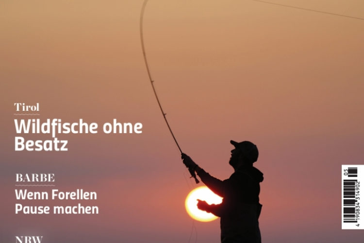 Heft-Cover der FliegenFischen 5/2026: Meerforellen im Sommer