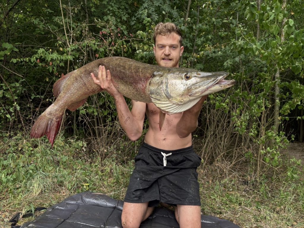 Hecht 127 cm