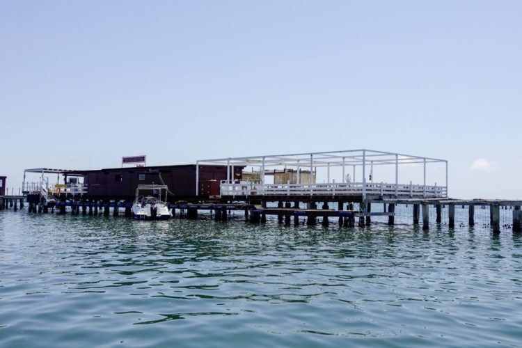 Die Muschelfarm auf dem Meer wird mit einer kurzen Bootsfahrt von La Ràpita aus angesteuert. Die Muschelfarm auf dem Meer wird mit einer kurzen Bootsfahrt von La Ràpita aus angesteuert.