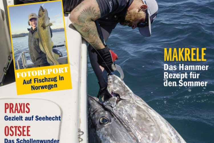 Das Cover der 118. Ausgabe der Kutter & Küste mit einem großen Blauflossenthun