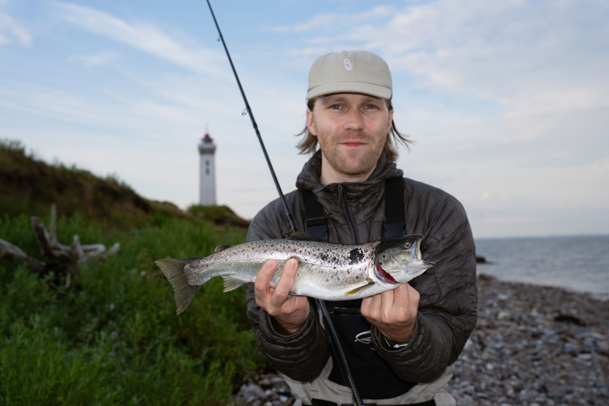 Angler mit Meerforelle in Dänemark