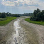 Niedrigwasser Rhein Rastatt