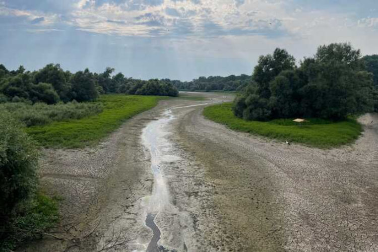 Niedrigwasser Rhein Rastatt