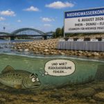 Niedrigwasserkonferenz
