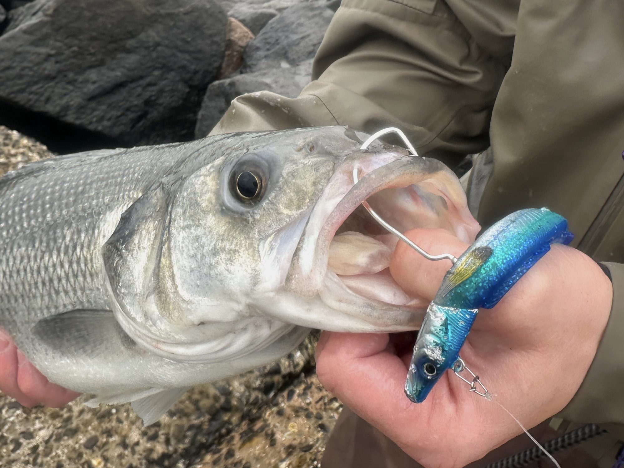 Weedless-Jig-Sandaal-Westin-Wolfsbarsch
