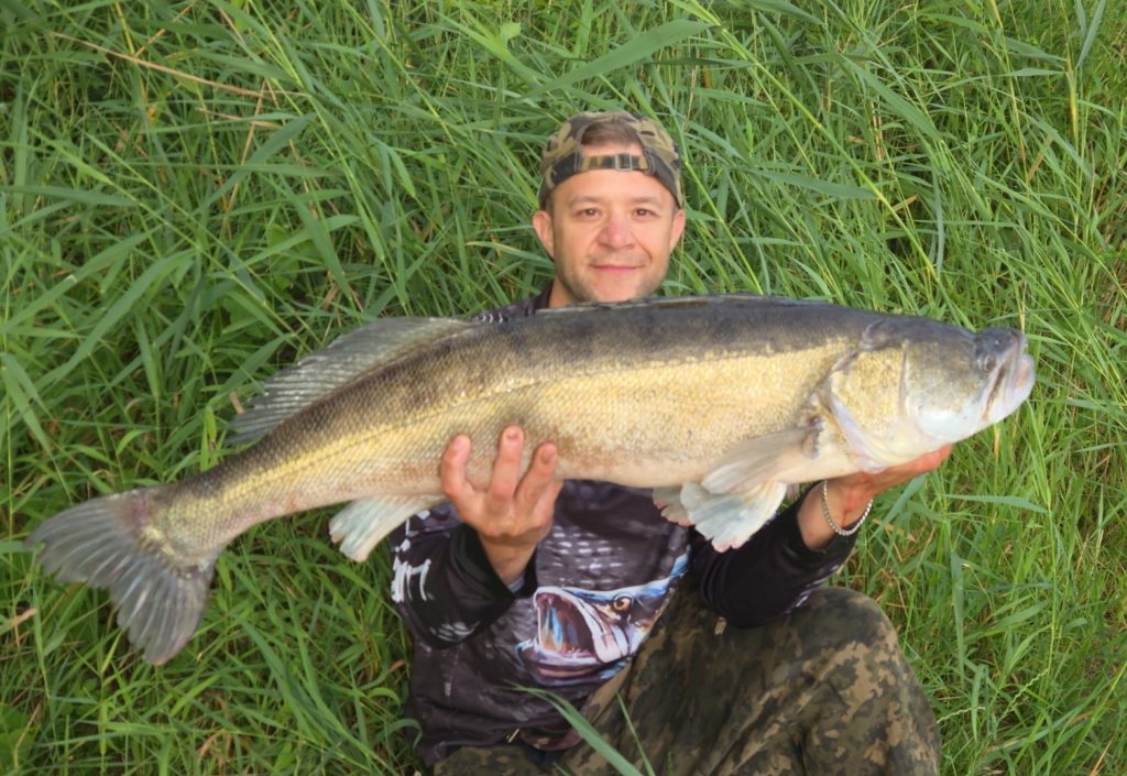 Zander 95 cm