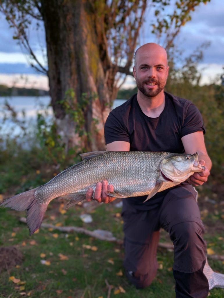 Rapfen, 80 cm