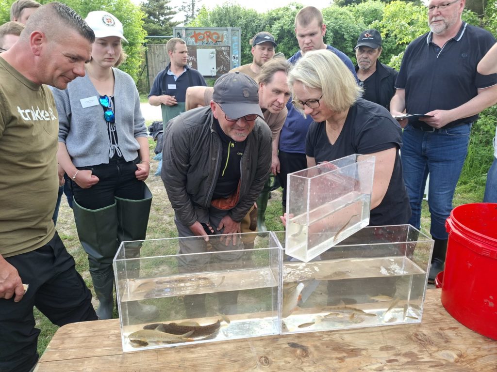 Das Fischartenvorkommen im Fließgewässer gibt Aufschluss über den ökologischen Zustand des Gewässers. Bild vom Kurs im Mai 2026.