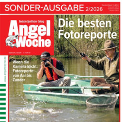 AngelWoche