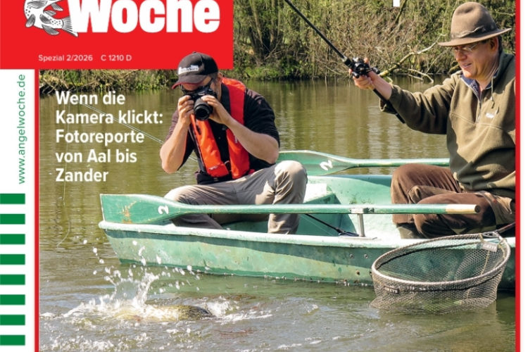 Cover der AngelWoche 20/2026: Zander bei Tag und Nacht!
