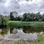 Berlin Gewässer Studie Wasser