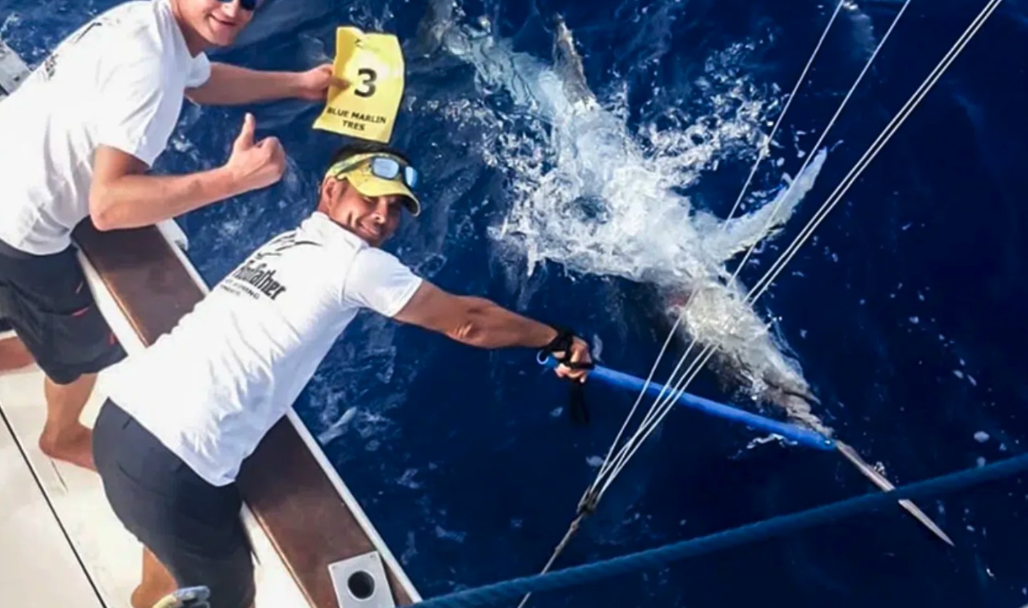 Marlin Open Pesca Release