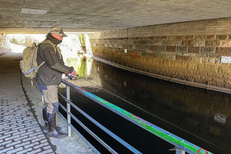 Brücke