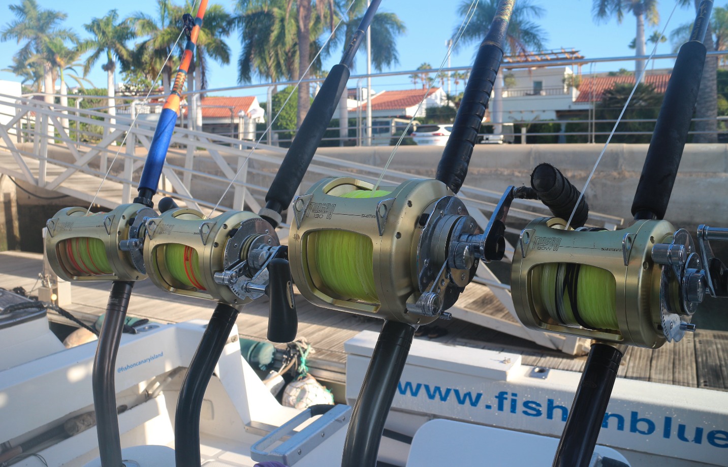 Rods and Reels Big Game Tackle